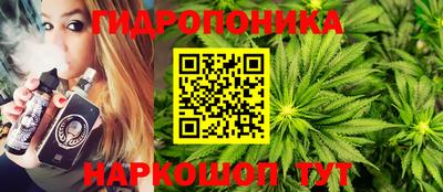 крисы Белореченск