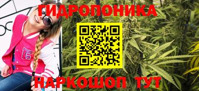 крисы Бердск
