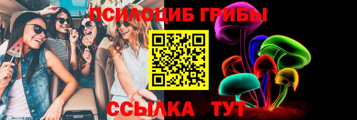 Псилоцибиновые грибы мицелий  Вход с VPN  цены наркотик  Алатырь 