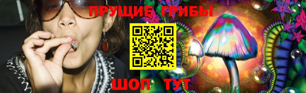 Псилоцибиновые грибы Cubensis Алатырь