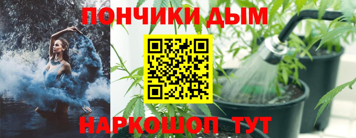 Бошки марихуана OG Kush Алатырь